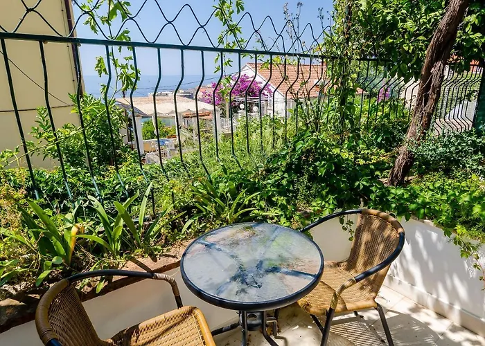 Kate דוברובניק